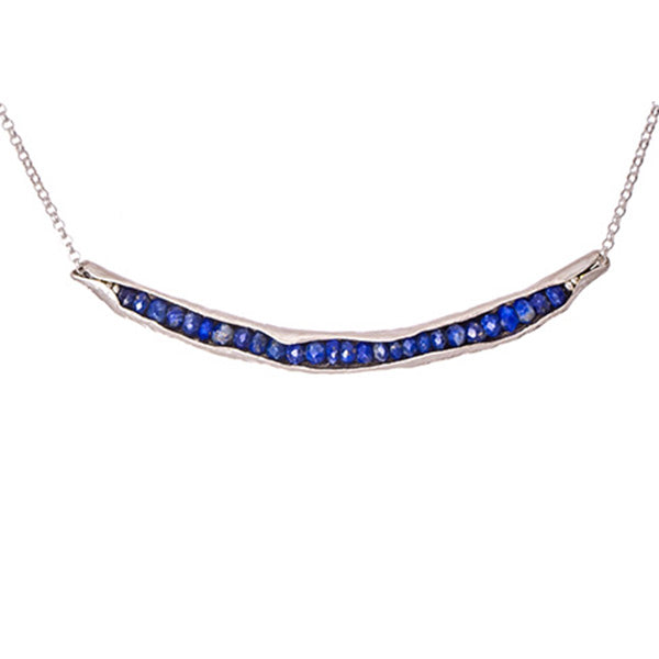 Lapis pod necklace